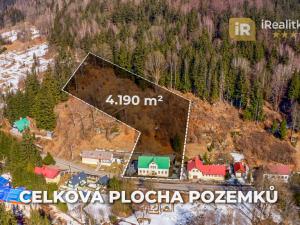 Prodej chalupy, Josefův Důl - Antonínov, 305 m2