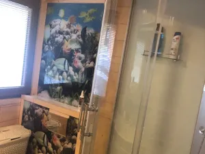 Prodej chaty, Horní Planá, 55 m2