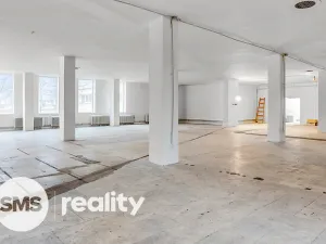 Pronájem obchodního prostoru, Karviná - Ráj, Borovského, 691 m2