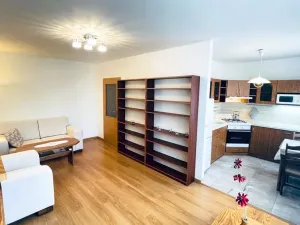 Pronájem bytu 2+1, Kladno - Kročehlavy, Francouzská, 50 m2