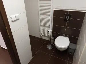 Pronájem bytu 2+kk, České Budějovice - České Budějovice 3, Nová, 76 m2