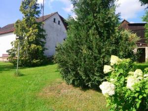 Prodej chalupy, Zlatá Koruna - Plešovice, 100 m2