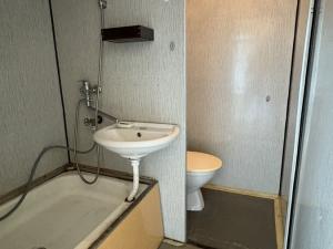 Prodej bytu 1+1, Hartmanice, 39 m2