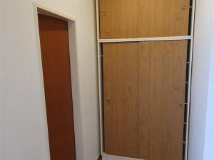 Pronájem bytu 1+1, Vrchlabí, Českých bratří, 39 m2