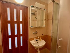 Pronájem bytu 1+kk, České Budějovice - České Budějovice 3, Pekárenská, 20 m2