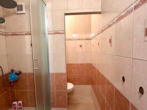Pronájem bytu 1+kk, České Budějovice - České Budějovice 3, Pekárenská, 20 m2