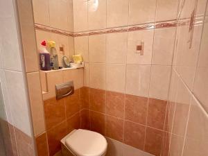 Pronájem bytu 1+kk, České Budějovice - České Budějovice 3, Pekárenská, 20 m2