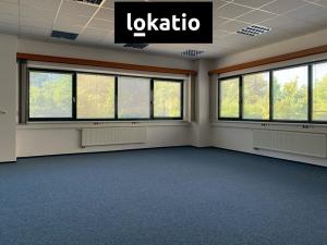Pronájem skladu, Plzeň, Chebská, 495 m2
