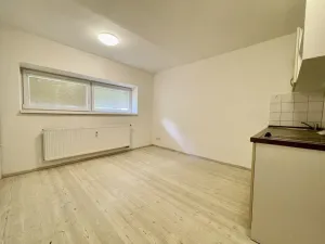 Pronájem bytu 1+kk, Brno - Bystrc, Rakovecká, 20 m2