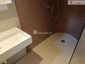 Pronájem bytu 1+kk, Praha - Nusle, Boleslavova, 34 m2
