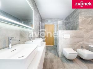 Prodej rodinného domu, Zlín - Kudlov, 336 m2