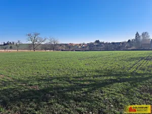 Prodej pole, Štěchov, 4979 m2