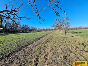 Prodej pole, Štěchov, 4979 m2