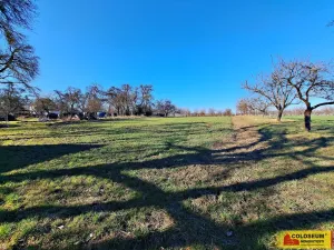 Prodej pole, Štěchov, 4979 m2