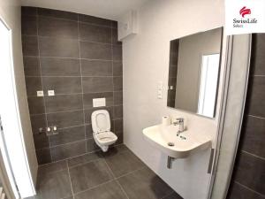 Pronájem bytu 2+kk, Blovice, Javorová, 46 m2