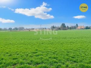 Prodej pozemku pro bydlení, Opava, Na Dolní hrázi, 6745 m2