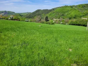 Prodej pozemku, Rusava, 3304 m2