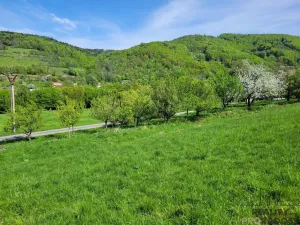 Prodej pozemku, Rusava, 3304 m2
