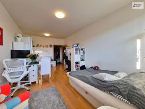 Pronájem bytu 1+kk, Praha - Motol, Jeřabinová, 30 m2