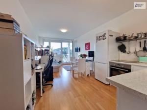 Pronájem bytu 1+kk, Praha - Motol, Jeřabinová, 30 m2