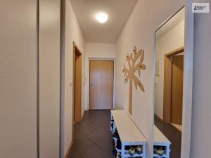 Pronájem bytu 1+kk, Praha - Motol, Jeřabinová, 30 m2