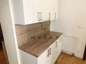 Pronájem bytu 2+kk, České Budějovice - České Budějovice 3, Riegrova, 54 m2