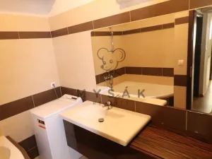 Pronájem bytu 2+kk, České Budějovice - České Budějovice 3, Riegrova, 54 m2