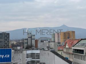 Prodej bytu 3+1, Liberec - Liberec III-Jeřáb, nám. Soukenné, 119 m2