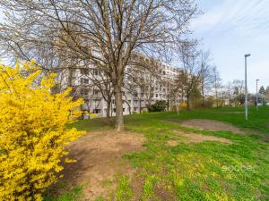 Pronájem bytu 3+1, Praha - Nusle, Pujmanové, 70 m2