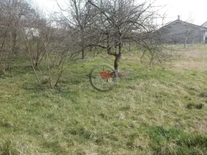 Prodej rodinného domu, Dolní Libochová, 1348 m2
