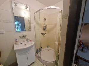 Prodej rodinného domu, Přerov, Nová, 132 m2