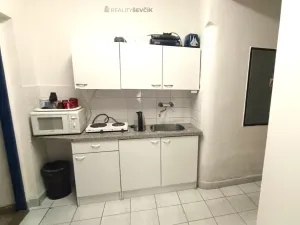 Pronájem výrobních prostor, České Budějovice - České Budějovice 2, České Vrbné, 550 m2