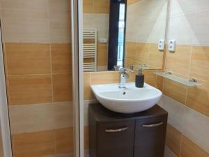 Pronájem bytu 1+kk, Plzeň, Na Terasách, 39 m2