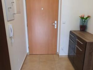 Pronájem bytu 1+kk, Plzeň, Na Terasách, 39 m2