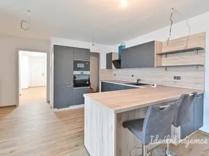 Pronájem bytu 3+kk, Mokrá-Horákov - Mokrá, 114 m2