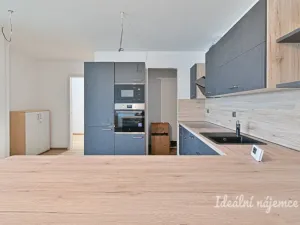 Pronájem bytu 3+kk, Mokrá-Horákov - Mokrá, 114 m2