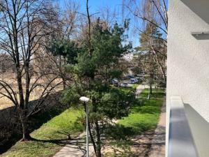 Pronájem bytu 2+kk, Pardubice - Zelené Předměstí, nábřeží Závodu míru, 50 m2