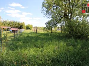 Prodej pozemku pro bydlení, Stružnice, 3971 m2