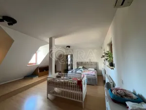 Prodej rodinného domu, Praha - Záběhlice, Dolní Chaloupky, 322 m2