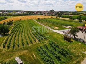 Prodej komerčního pozemku, Bořetice, 2210 m2