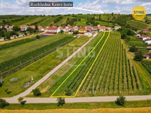 Prodej komerčního pozemku, Bořetice, 2210 m2