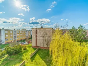 Pronájem bytu 2+kk, Kralupy nad Vltavou - Lobeček, nám. Mládežníků, 38 m2