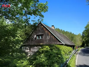 Prodej chalupy, Bartošovice v Orlických horách, 100 m2