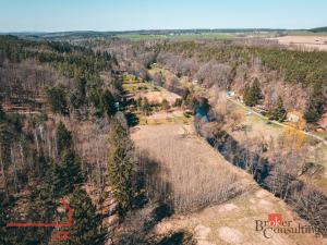 Prodej lesa, Plešnice, 4109 m2