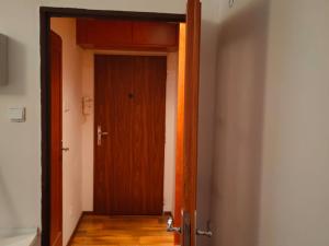 Pronájem bytu 1+kk, Havířov, Karolíny Světlé, 24 m2
