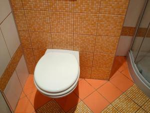 Pronájem bytu 1+kk, Havířov, Karolíny Světlé, 24 m2
