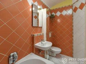 Prodej bytu 1+kk, Praha - Žižkov, Rokycanova, 41 m2