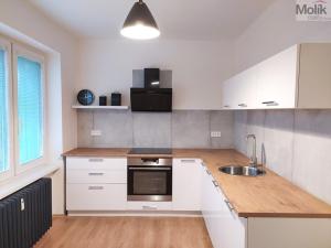 Pronájem bytu 2+1, Teplice, Londýnská, 57 m2
