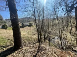 Prodej zahrady, Dlouhá Ves, 782 m2