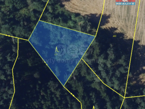 Prodej lesa, Pernštejnské Jestřabí - Maňová, 11616 m2